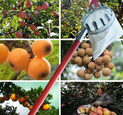 Picking fruit tools