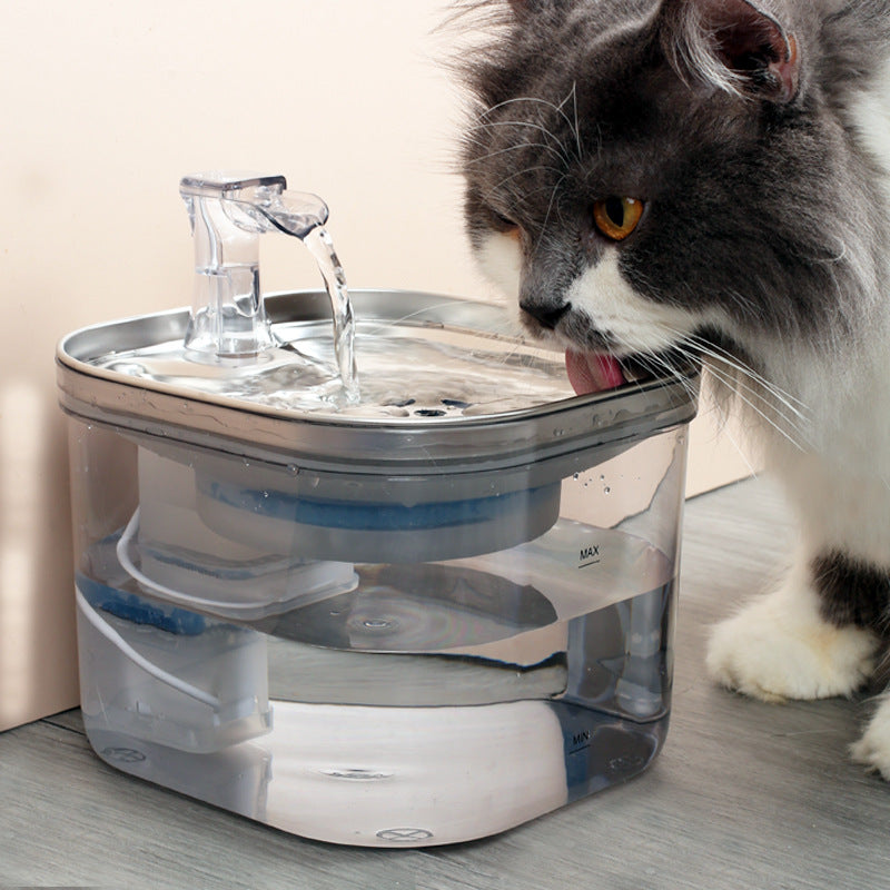 Pet Water Dispenser