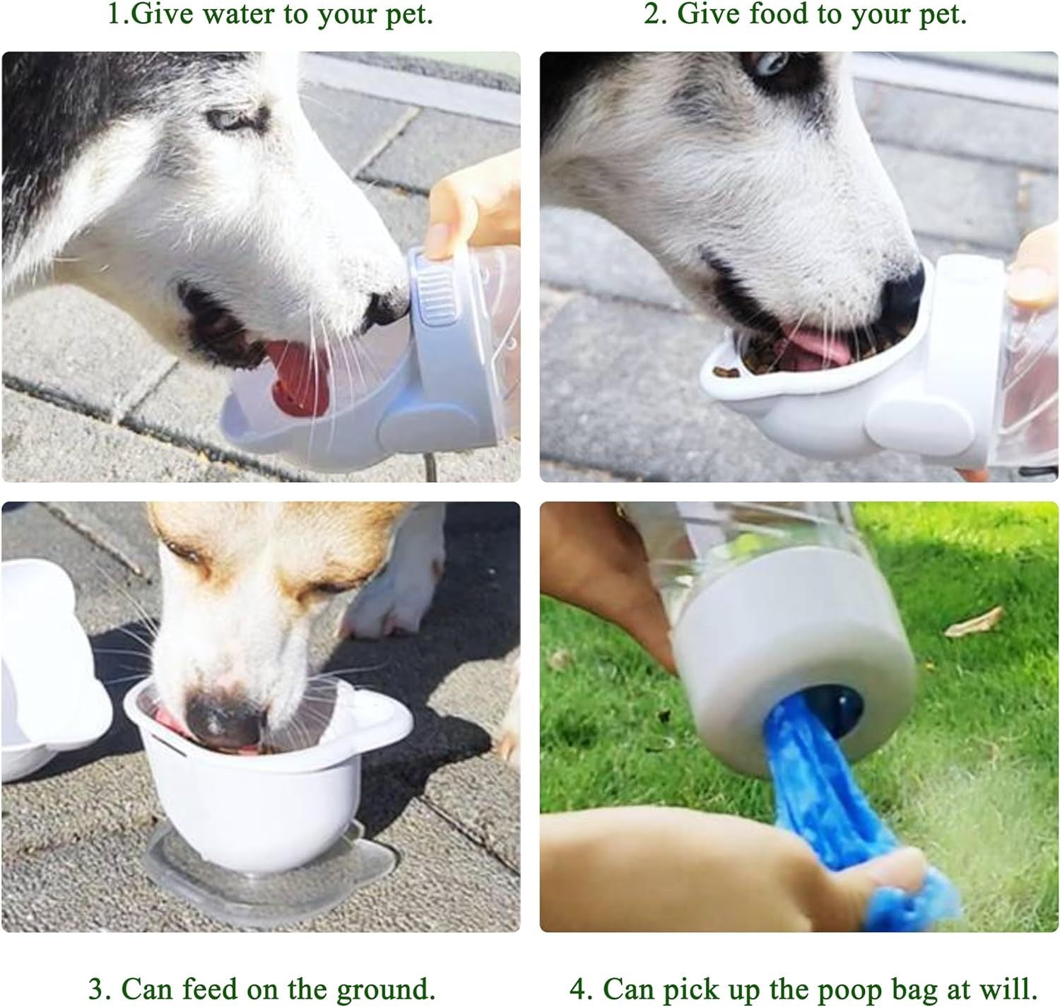 Pet Water Bottle