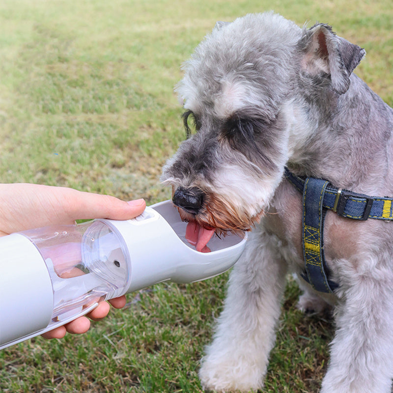 Pets Food Drinking Dispenser Feeder